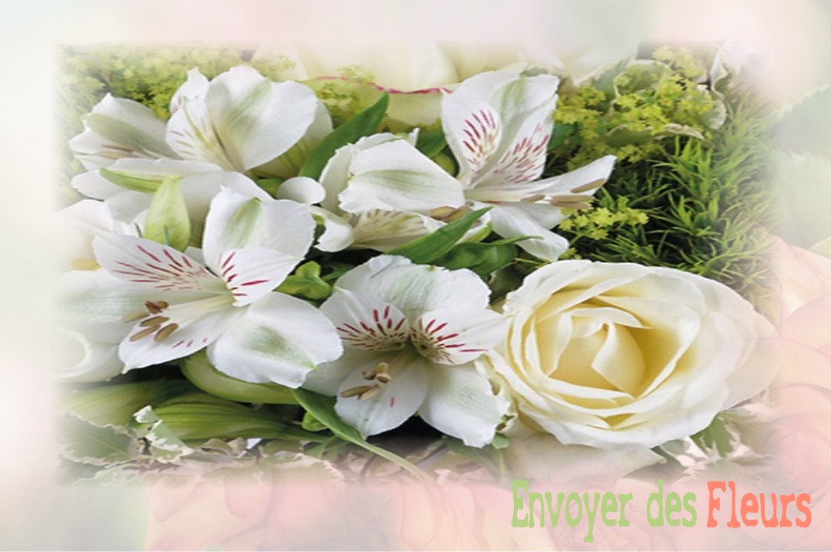 envoyer des fleurs à à SAINT-SYMPHORIEN-DES-MONTS